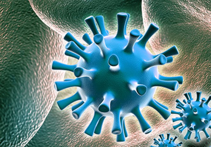 Šta je infektivna mononukleoza?