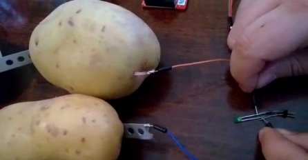 Da li ste znali: Jedan krompir je dovoljan da vam osvjetli sobu mjesec dana (VIDEO)