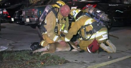 Vatrogasci spasili psa iz zgrade u plamenu: On nije mogao disati ali onda se desilo čudo 