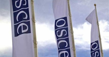 Delegacija PSBiH učestvovala u radu zimskog zasjedanja PS OSCE-a