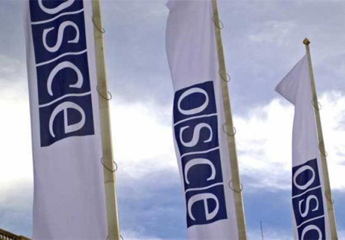 Delegacija PSBiH učestvovala u radu zimskog zasjedanja PS OSCE-a