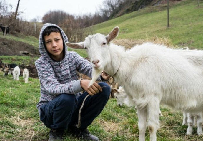 Dječak Jasmin koji je umjesto bicikla želio kozu sada ih ima 25