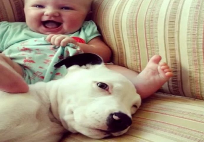 Upozoravamo vas: Gledanje ovog snimka može izazvati izliv pozitivnih emocija (VIDEO)