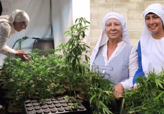 Časne sestre zarađuju 400.000 dolara godišnje ilegalnim uzgojem marihuane (VIDEO)