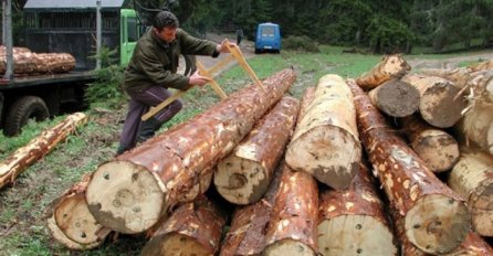 Poslovođa oštetio Šumsko gazdinstvo "Zelengora" za 44.816 KM