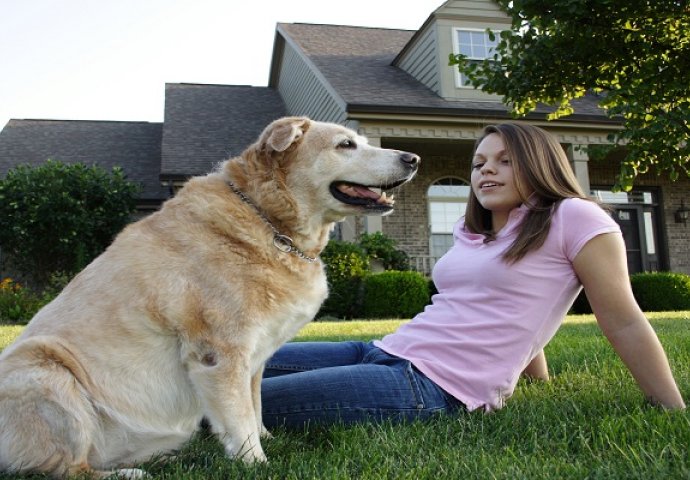 ''Odvela sam psa kod veterinara jer je počeo slabo da jede''