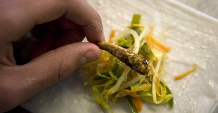 "Poslastice od insekata": Italijani uskoro uvode insekte u ishranu