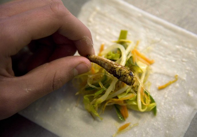 "Poslastice od insekata": Italijani uskoro uvode insekte u ishranu