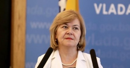 Milićević: Do polovine godine novi zakon o pripadnosti javnih prihoda