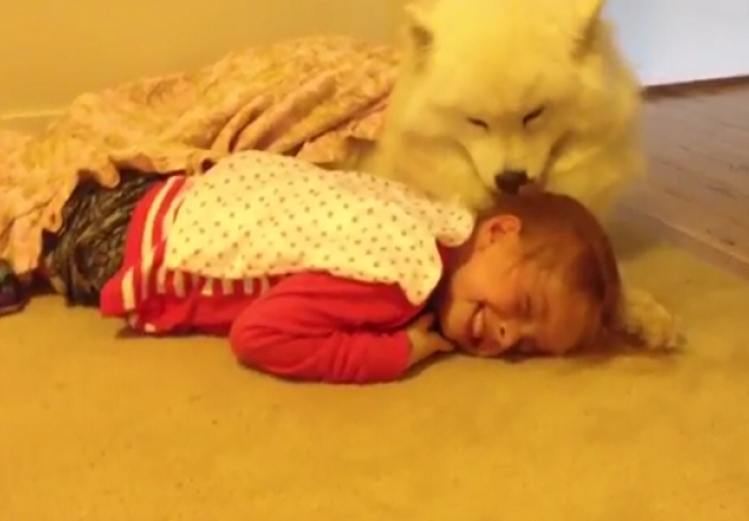 Kada vidite šta ova dva medenjaka rade skupa, osmijeh će vam biti od uha do uha (VIDEO)