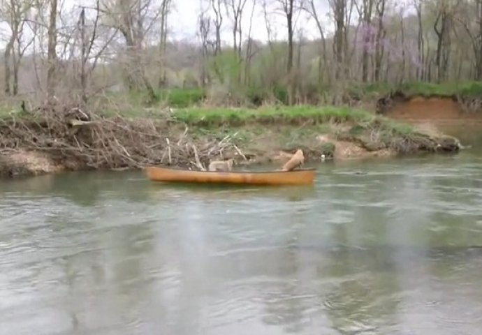 Dva psa su ostala zarobljena u čamcu: Kada vidite ko im je pomogao ostat ćete bez riječi (VIDEO)