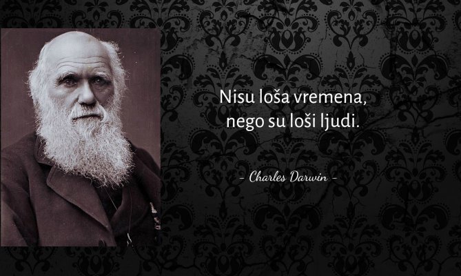 darwin