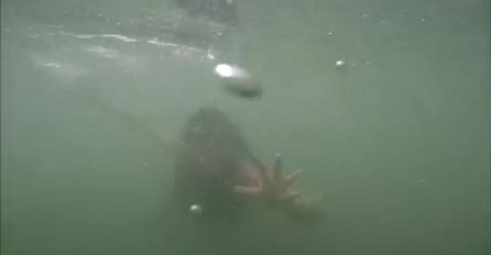 Pod vodom je snimao svoju kćerku, ali je onda ugledao nešto uznemirujuće (VIDEO)