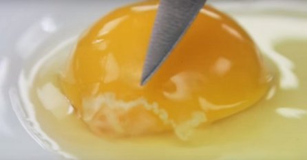 Da li znate šta je na sirovom jajetu ona mala bijela "mrlja" ? (VIDEO)