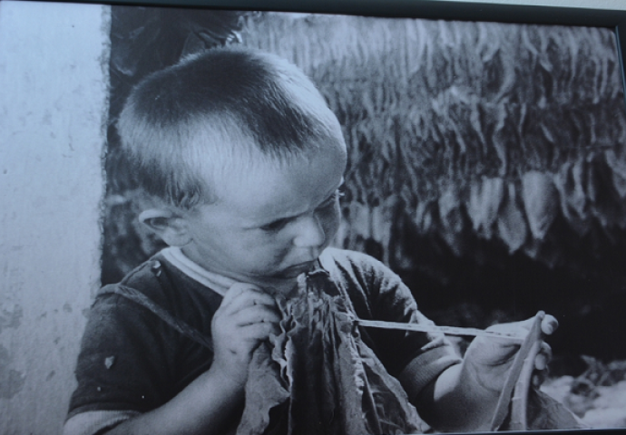 Večeras u Mostaru izložba „Hercegovina - Muzej sjećanja“: Šetnja kroz povijest uz stare fotografije