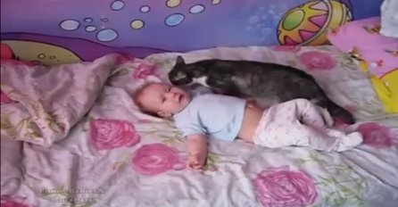 Mačka je prišla uplakanoj bebi i uradila nešto što je čak i majku iznenadilo (VIDEO)