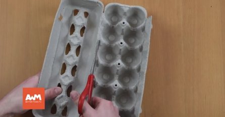 Uzeo je makaze i presjekao karton od jaja: Kada vidite razlog, odmah ćete uraditi isto (VIDEO)