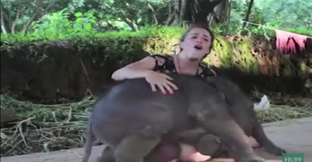 Šta se desi kada vam beba slona pokušava sjesti u krilo? (VIDEO)