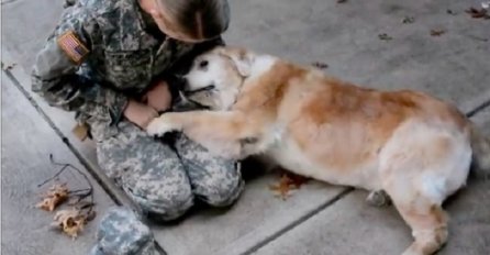 Gazdarica se vratila iz vojske: Kada vidite kako je pas reagovao ostat ćete bez riječi
