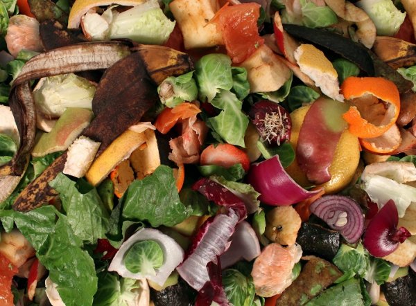 italywastefoodlaw2