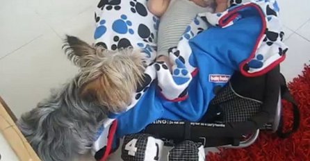 Pas primjetio da nešto nije u redu sa bebom, evo šta je uradio (VIDEO)