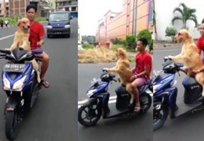 Muškarac i njegov "partner" uživali u nezaboravnoj avanturi kroz grad (VIDEO)