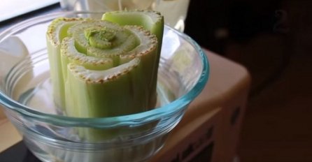 Stavio je komad celera u zdjelicu vode: Kada vidite ishod uradit ćete isto (VIDEO)