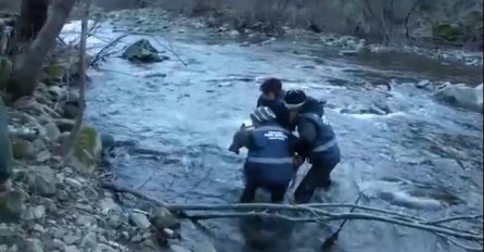 Izvukli iz rijeke vuka koji je umirao: Njegova reakcija ih je naprosto šokirala (VIDEO)