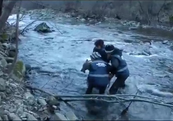 Izvukli iz rijeke vuka koji je umirao: Njegova reakcija ih je naprosto šokirala (VIDEO)