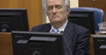 Karadžić zatražio statusnu konferenciju 