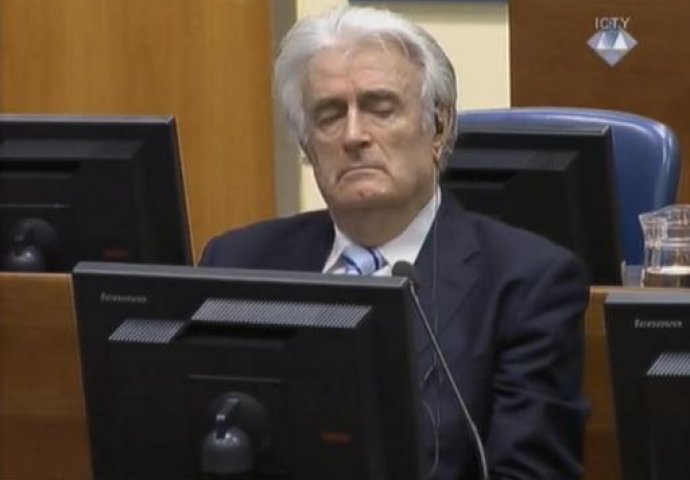 Karadžić zatražio statusnu konferenciju 