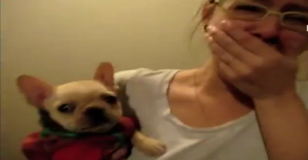 Rekla je svom psu "volim te": Pogledajte šta je potom on uradio (VIDEO)