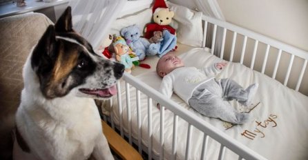 Zato ih volimo: Pas majci i nerođenoj bebi spasio život