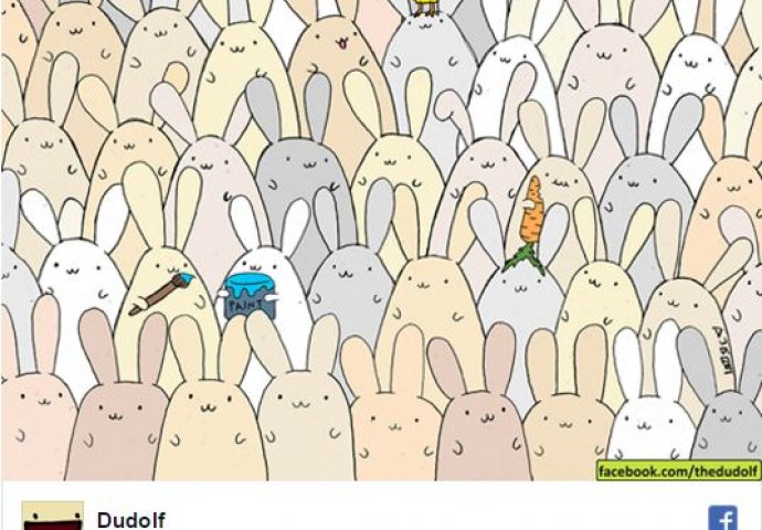 Zagonetka za kojom je poludio internet: Među mnoštvom zečeva pronađite jaje! 