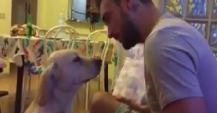 Ovo se zove izvinjenje: 15 miliona ljudi zamolilo je ovog vlasnika da oprosti svom psu (VIDEO)