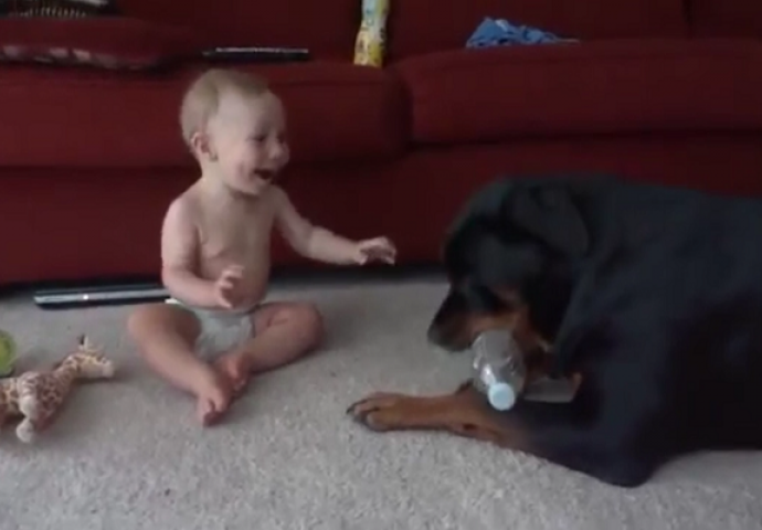 Rotvajler je ukrao bocu od bebe, a njezina reakcija je urnebesna (VIDEO)
