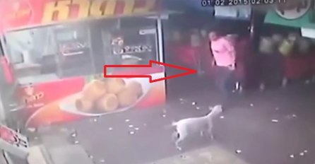 Pokušao je udariti ovog psa nogom, a onda dobio ono što je i zaslužio (VIDEO)