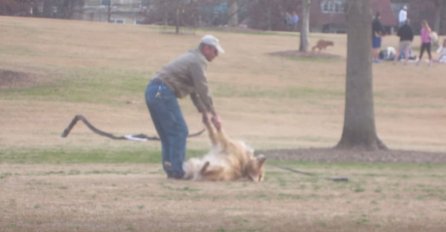 Ovaj pas se pravi mrtav jer ne želi napustiti park