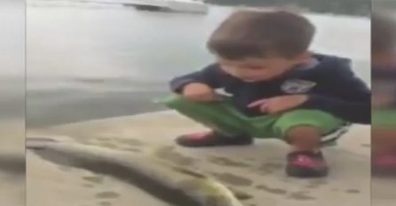 Dječak je ulovio ribu, ali nije mogao ni sanjati šta će mu se dogoditi nakon toga (VIDEO)