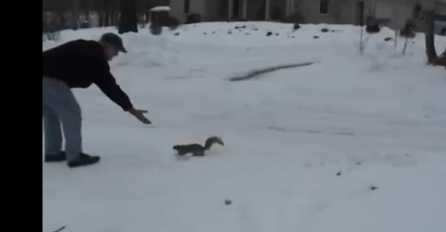 Starac je dozivao vjevericu, a onda je uslijedilo nešto neočekivano (VIDEO)