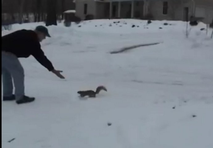 Starac je dozivao vjevericu, a onda je uslijedilo nešto neočekivano (VIDEO)