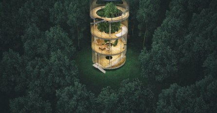 Budućnost arhitekture? Staklena kuća izgrađena oko stabla