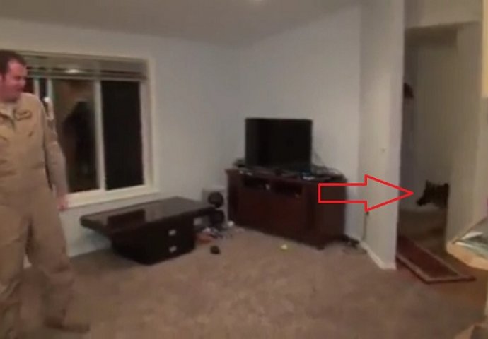 Vojnik je došao kući, a reakcija njegovog psa će vas sigurno oduševiti (VIDEO)