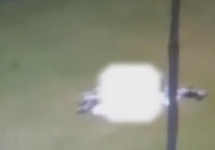 Napaljeni par postao internet senzacija: Upustili se u akciju na vrhu brda, a nisu znali da ih svi gledaju preko streama