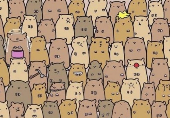 Novi internet izazov: Koliko vremena vam je potrebno da pronađete krompir na ovoj fotografiji? 