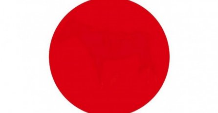 Pogledajte dobro ovaj crveni krug: Da li možete uočiti šta se nalazi u njemu? 