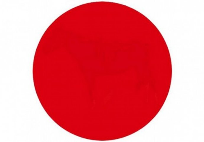 Pogledajte dobro ovaj crveni krug: Da li možete uočiti šta se nalazi u njemu? 