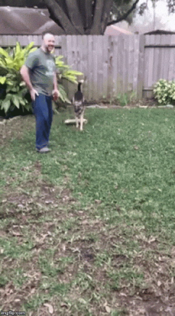 4-2-16-rescue3-327x590