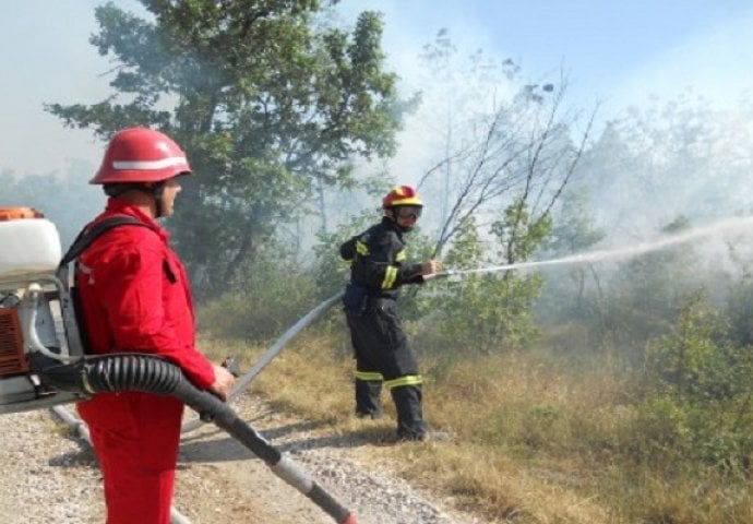 Izgorjelo 50 dunuma šume i niskog rastinja