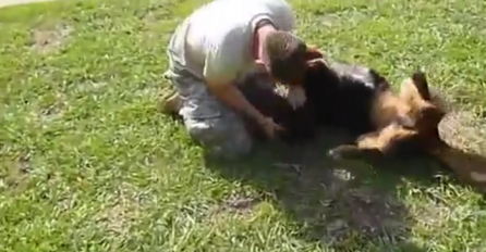 Vojnik je konačno došao kući, pogledajte kako je reagovao njegov vjerni pas (VIDEO)